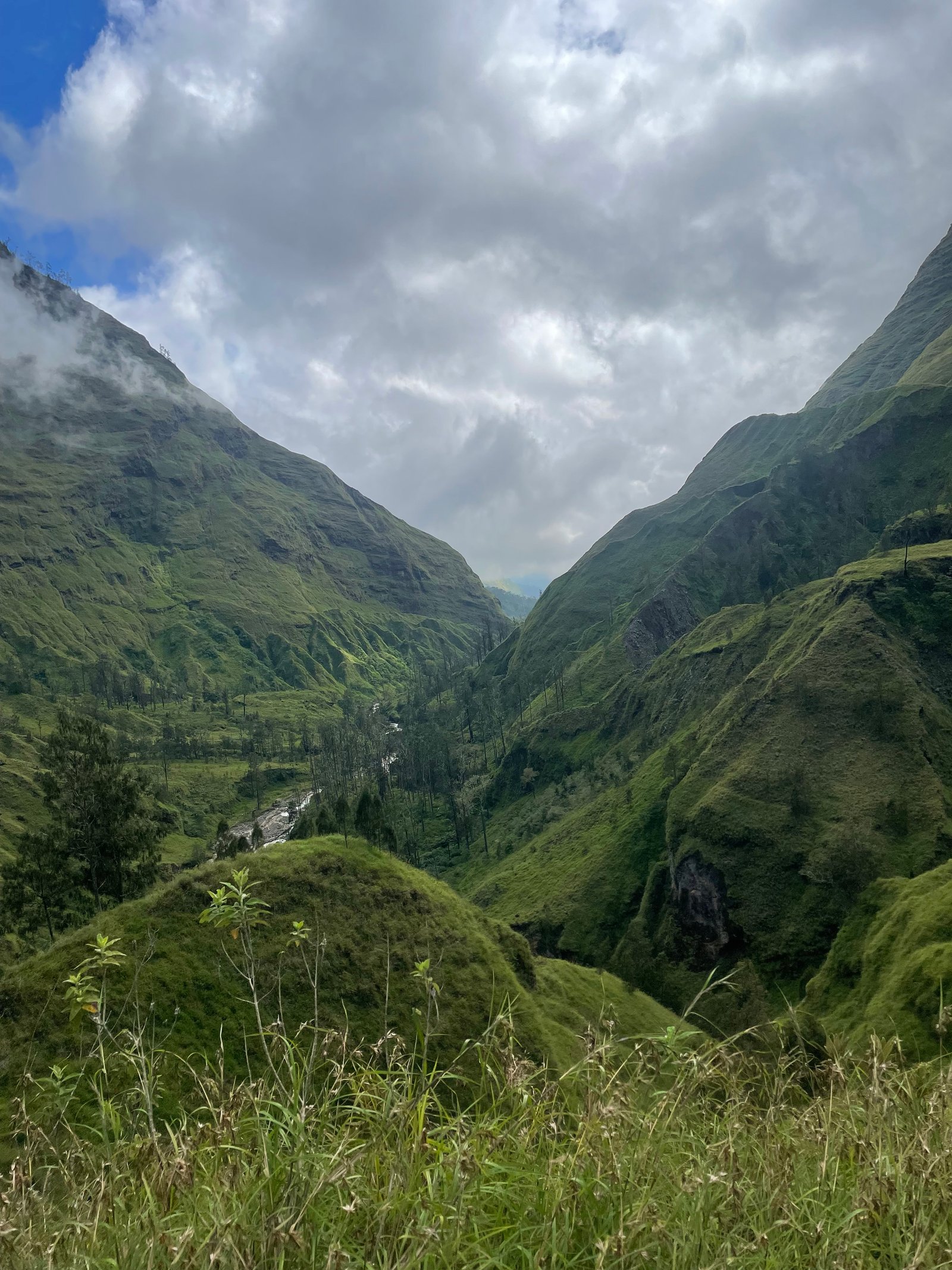 Torean Trekking Route: Discover the Jurassic Park of Mount Rinjani, Lombok